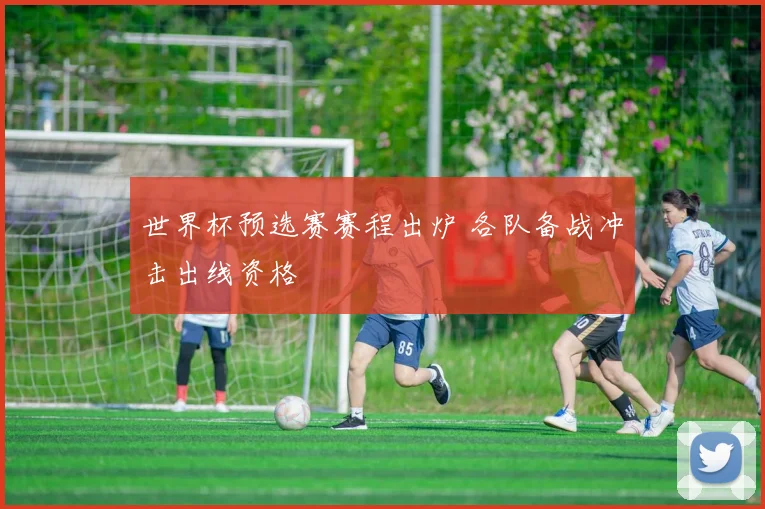 世界杯预选赛赛程出炉 各队备战冲击出线资格