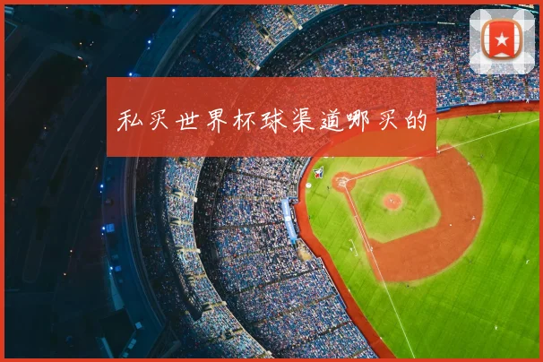 私买世界杯球渠道哪买的