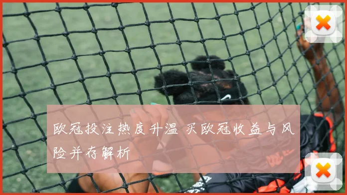 欧冠投注热度升温 买欧冠收益与风险并存解析