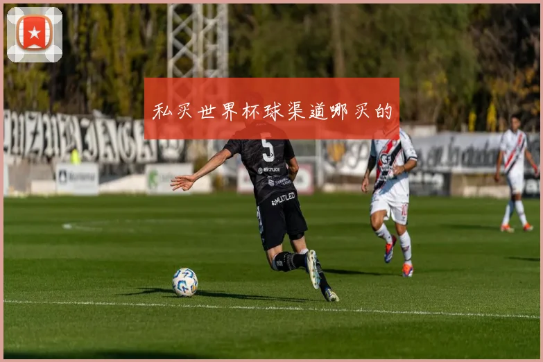 私买世界杯球渠道哪买的